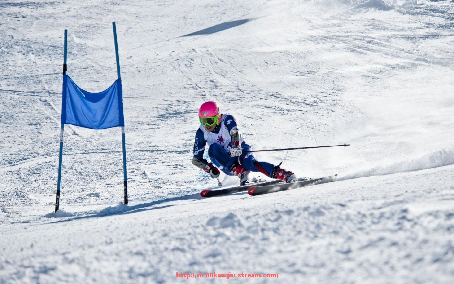 88看球网-哪些球队是意甲降级常客？近年降级名单详解