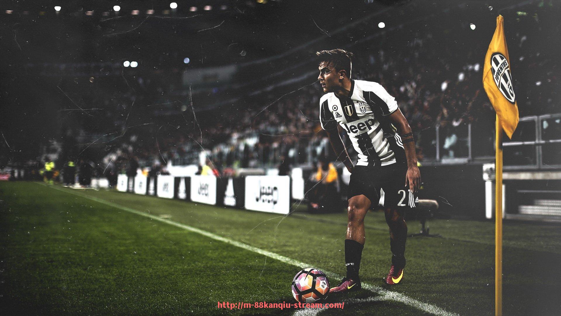 88看球网-世俱杯训练鞋类型与分类标准全面解析